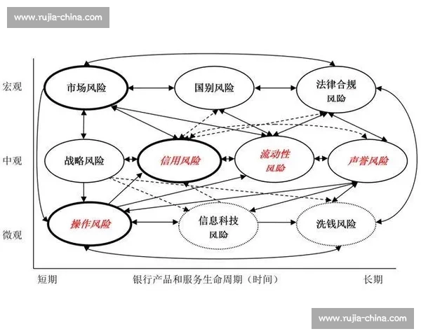 突发变数下的风险演化与决策应对新格局研究前瞻路径机制与实践启示